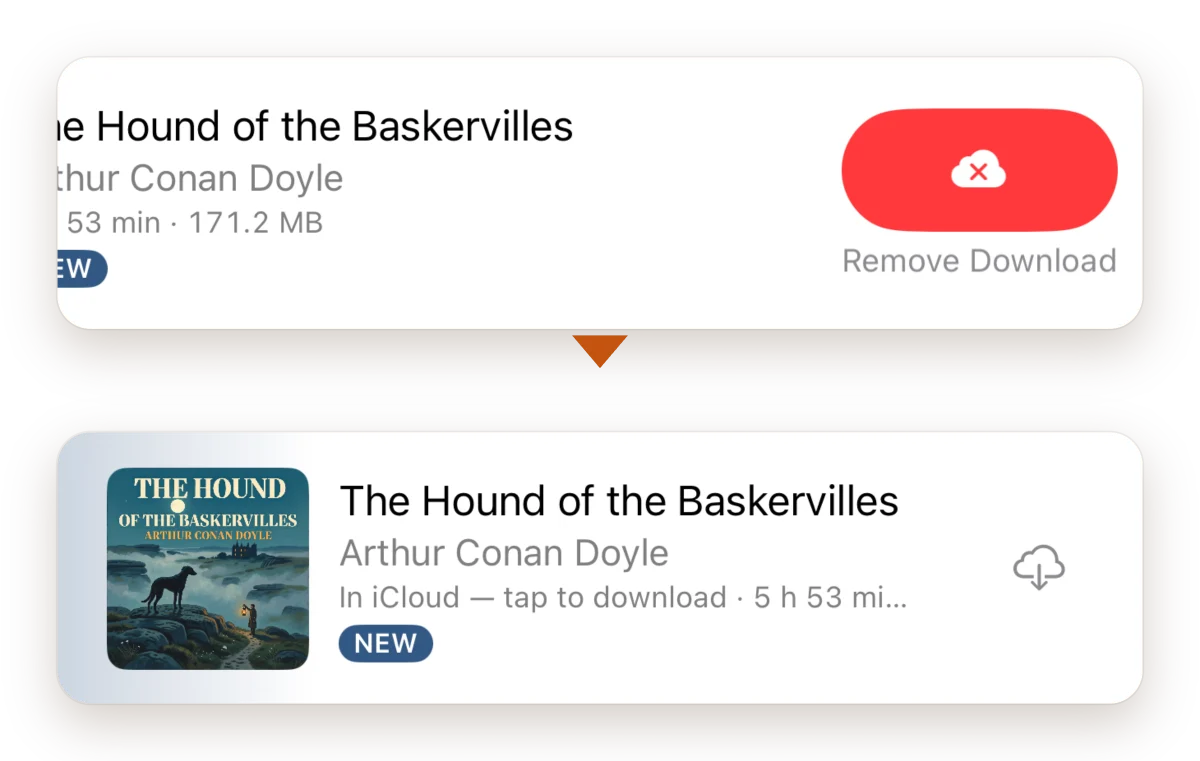 A book row swiped left to show Remove Download, and below it the same book afterwards, in iCloud with a tap to download.